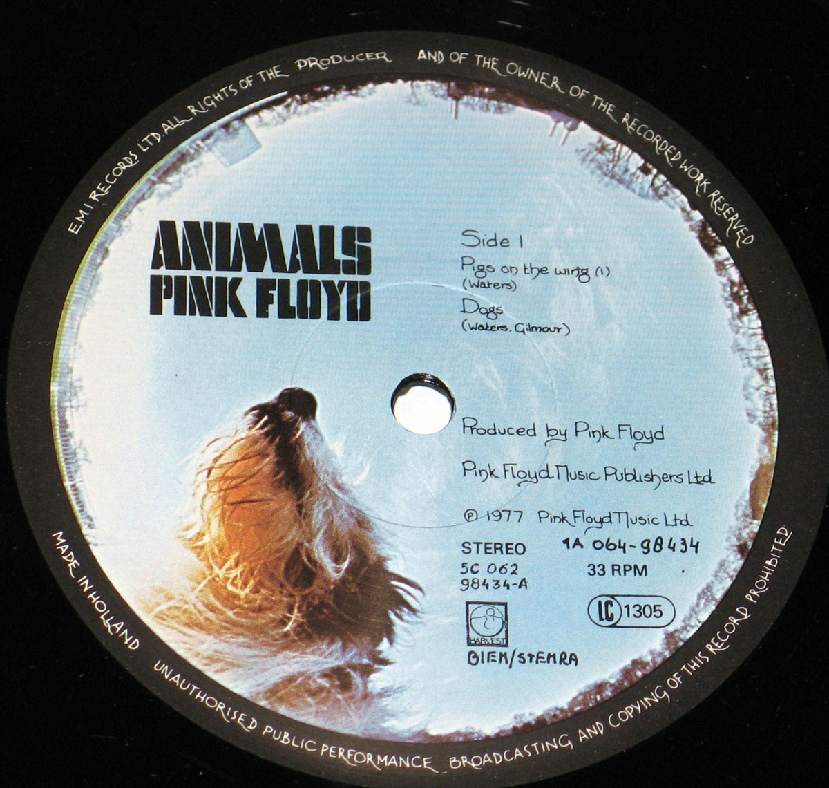 High Resolution Photo #5 PINK FLOYD animals netherlands 
